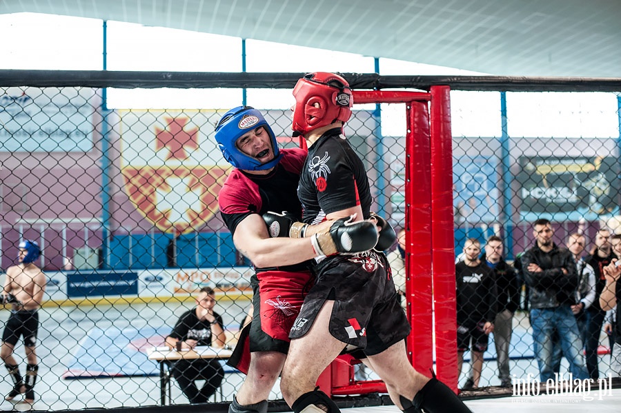 Puchar Polski Pnocnej Amatorskiego MMA w Elblgu , fot. 92