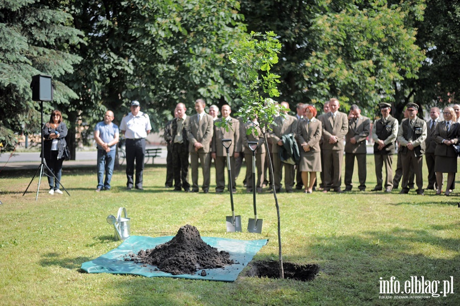 Uroczyste posadzenie "Dbu Wolnoci", fot. 6