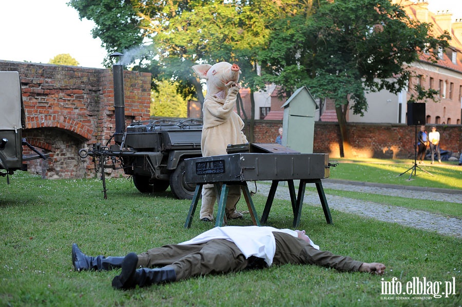 Spektakl plenerowy pt. Kucharz na ostro w wykonaniu wrocawskiego Teatru Formy, fot. 41