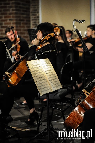  Panel dyskusyjny i koncert Elblska Orkiestra Kameralna, TWOGether Duo, Marcin Masecki  podczas 11 Ogrodw Polityki , fot. 12