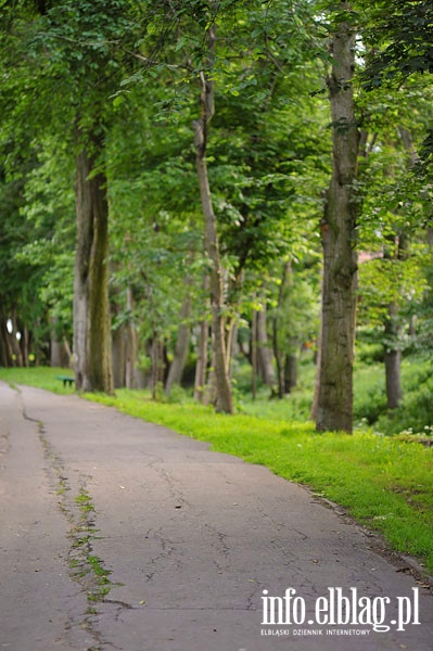 Park Dolinka, czerwiec 2014r., fot. 24