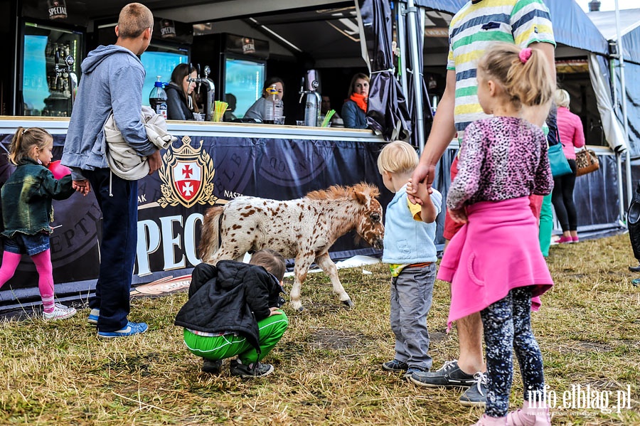 Dni Elblga 2014 - koncerty na Wyspie Spichrzw, fot. 87