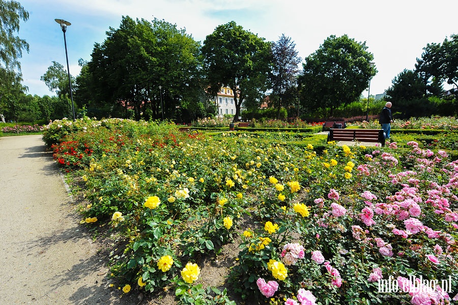 Park Kajki - dawny Rany Ogrd, fot. 10