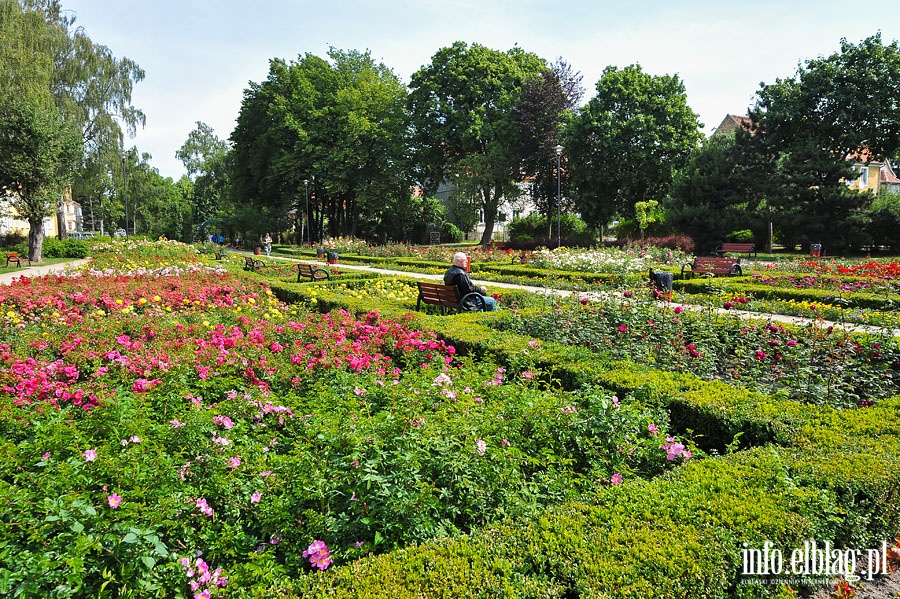 Park Kajki - dawny Rany Ogrd, fot. 11