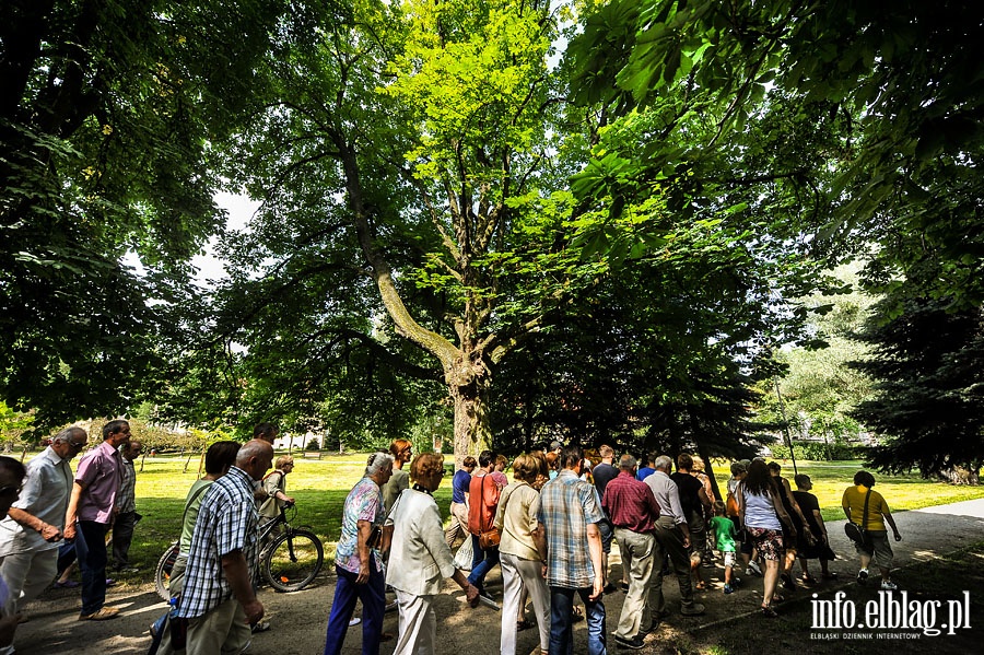 Park Kajki - dawny Rany Ogrd, fot. 21