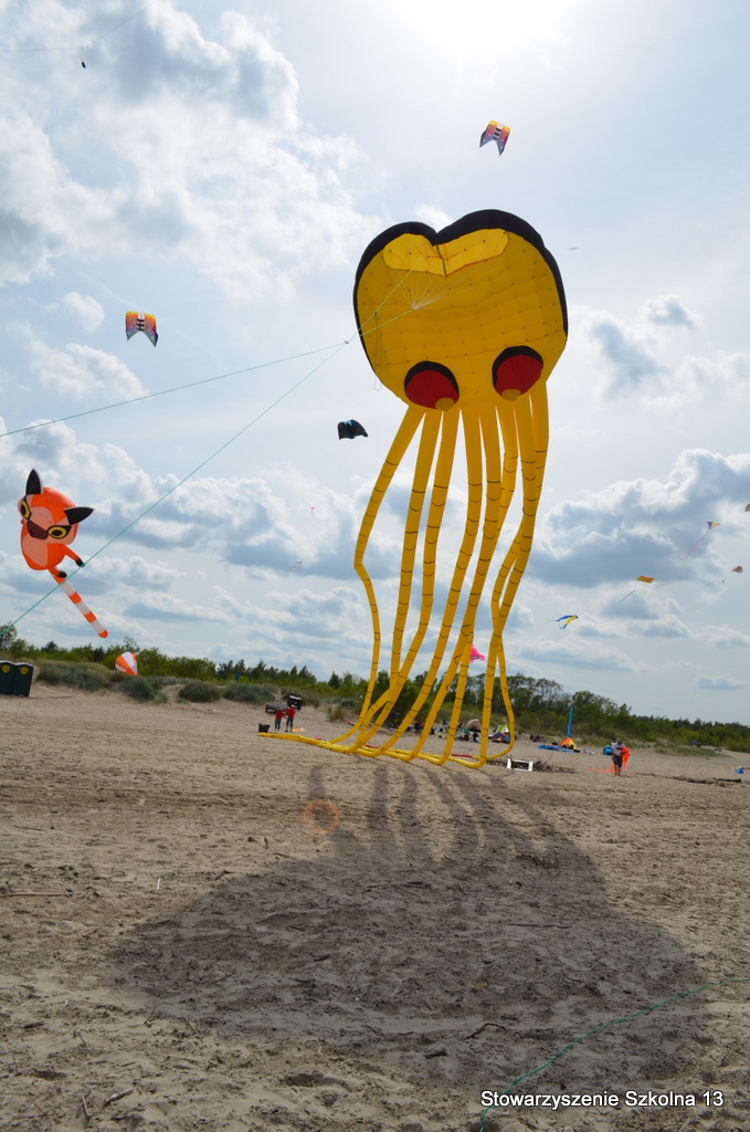 XIV Midzynarodowy Festiwal Latawcw - Mikoszewo 2014, fot. 11