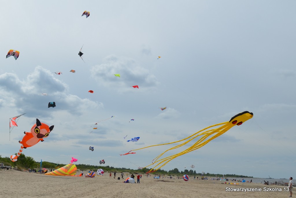 XIV Midzynarodowy Festiwal Latawcw - Mikoszewo 2014, fot. 18