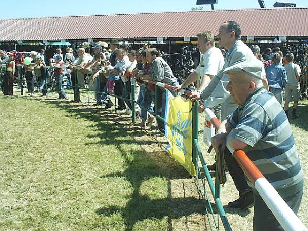 XIII uawskie Targi Rolne poczone z VII Regionaln W, fot. 18