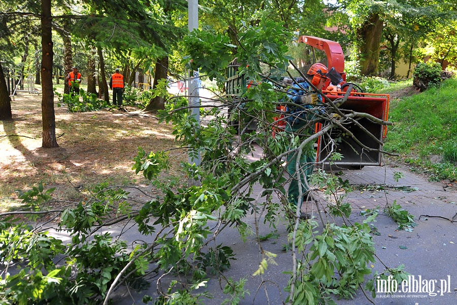 Plac zabaw w Parku Modrzewie i midzypokoleniowe podwrko przy Al. Odrodzenia, fot. 34