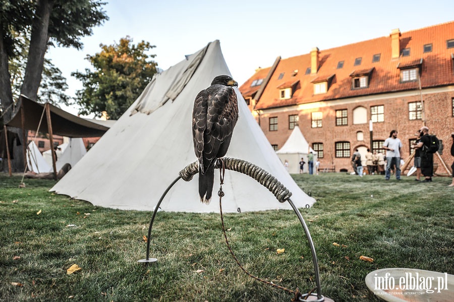 Piknik rodzinny w  Muzeum Archeologiczno Historycznym z okazji 150 lecia istnienia, fot. 9