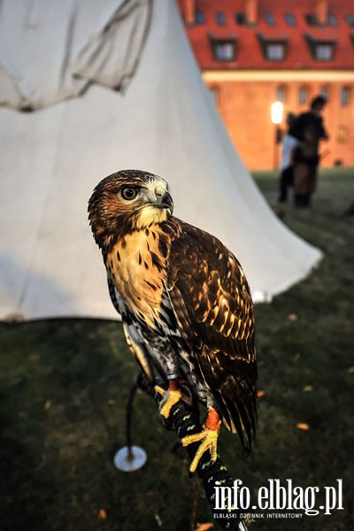 Piknik rodzinny w  Muzeum Archeologiczno Historycznym z okazji 150 lecia istnienia, fot. 64