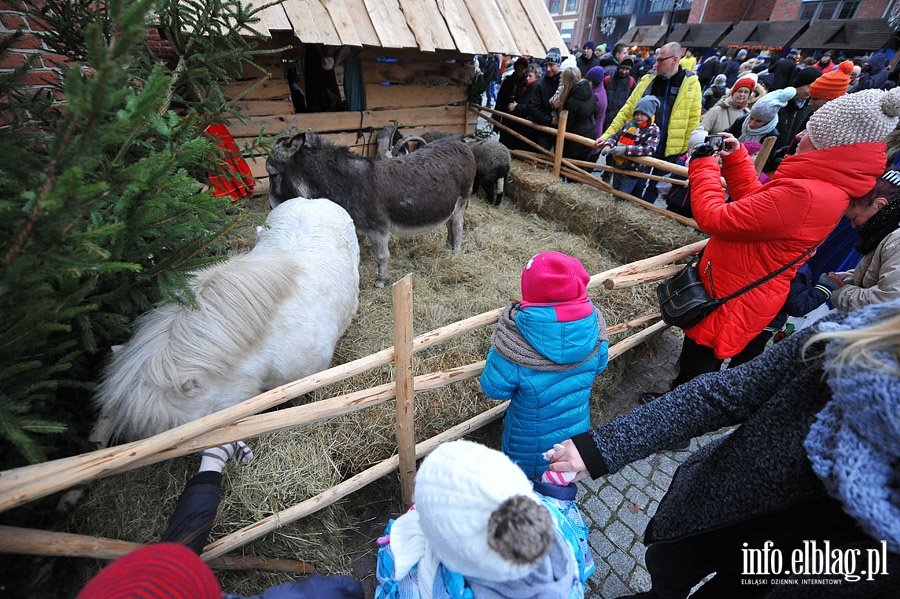 witeczne Spotkania Elblan , fot. 105