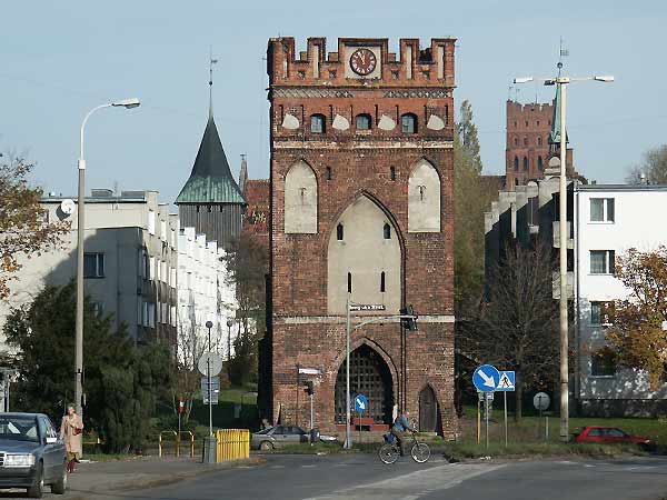 Okolice Elblga - Malbork, fot. 6