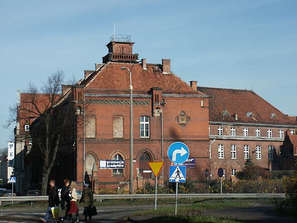 Okolice Elblga - Malbork, fot. 7