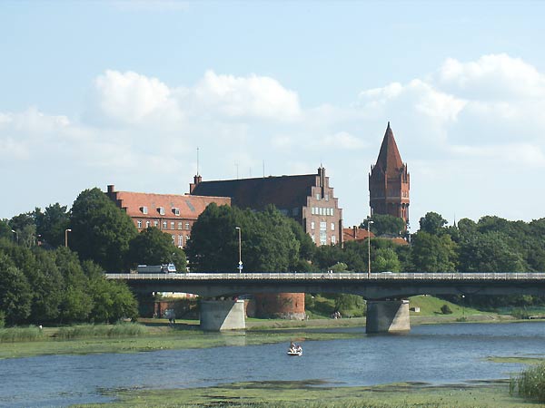 Okolice Elblga - Malbork, fot. 15