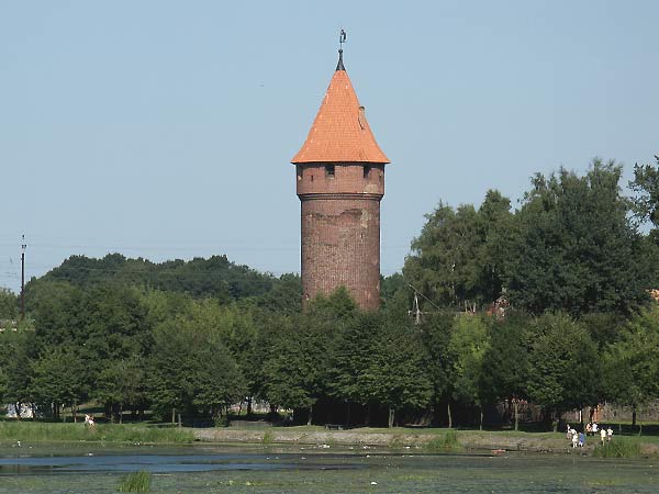 Okolice Elblga - Malbork, fot. 17