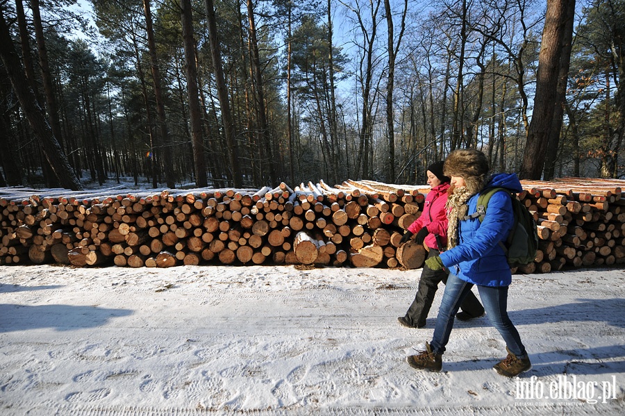  Nieznana Mierzeja Wilana - turystyczne ferie z PTTK Elblg, fot. 75