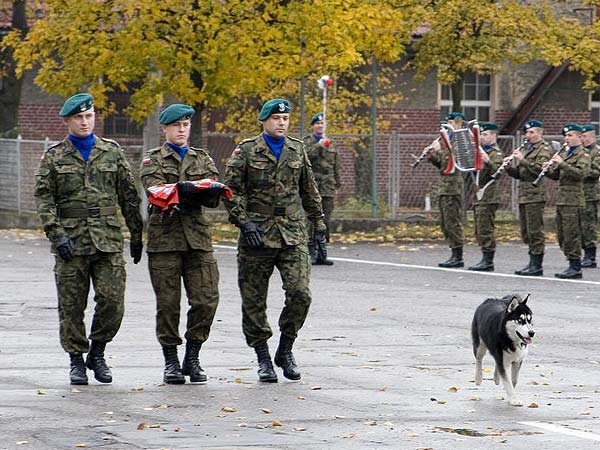 Oficjalna zbirka onierzy z 16 batalionu dowodzenia i, fot. 8