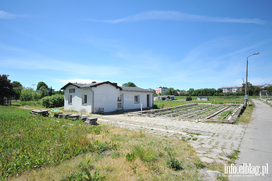 Likwidacja gospodarstwa ogrodniczego przy Sadowej, fot. 4