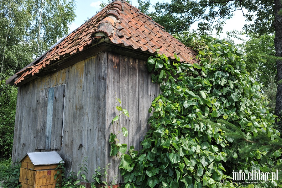 Wakacje z PTTK - Nieznana Mierzeja Wilana, fot. 101