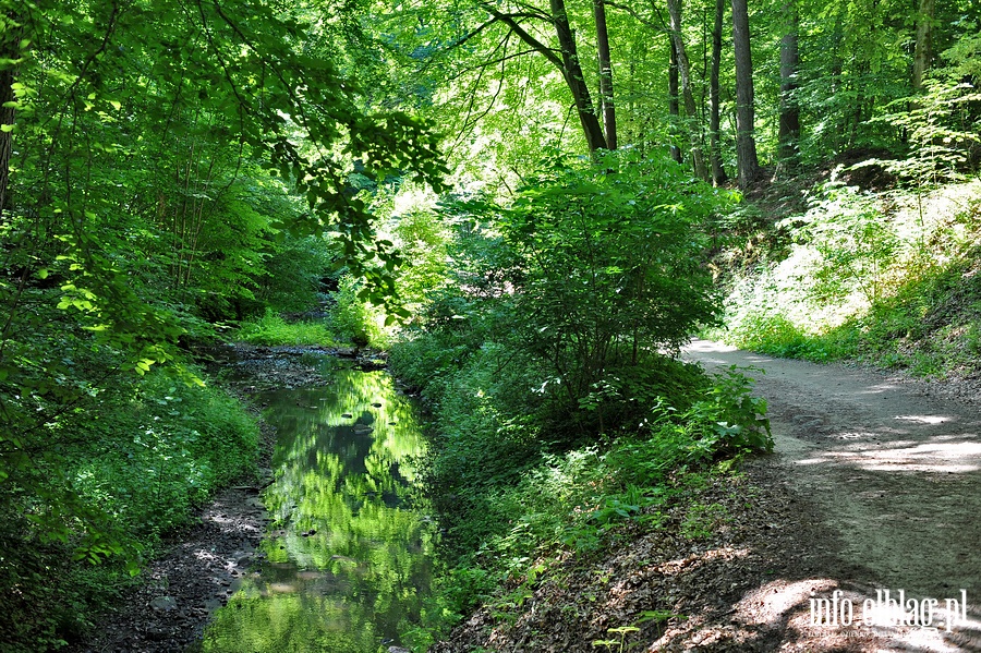 "Poszukiwania baanta w Baantarni",  wycieczka najmodszych z PTTK , fot. 22