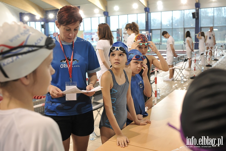 Pierwsza edycja Mikoajkowej Olimpiady Pywackiej o Puchar Otylii Jdrzejczak , fot. 38