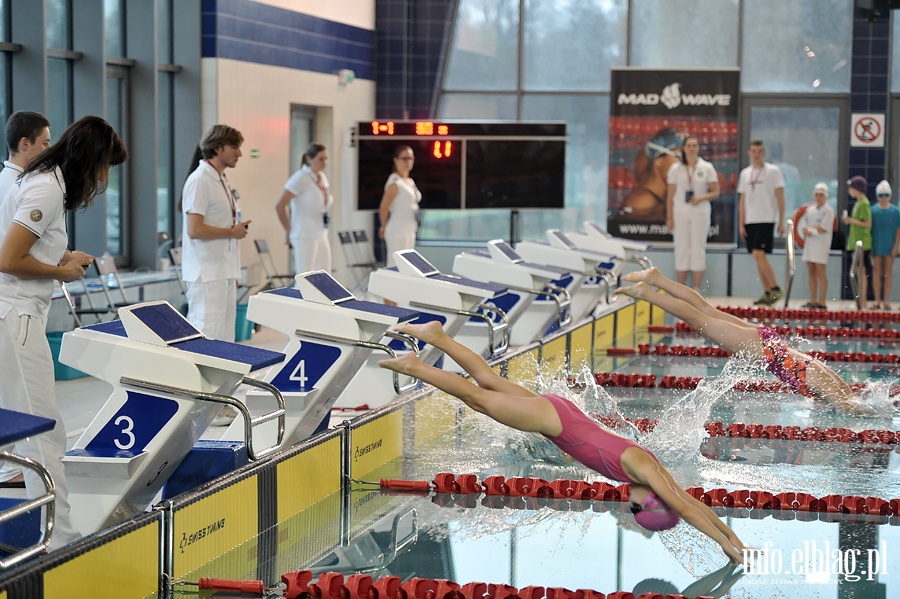 Pierwsza edycja Mikoajkowej Olimpiady Pywackiej o Puchar Otylii Jdrzejczak , fot. 41