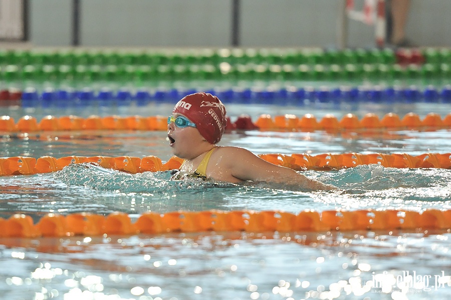 Pierwsza edycja Mikoajkowej Olimpiady Pywackiej o Puchar Otylii Jdrzejczak , fot. 46