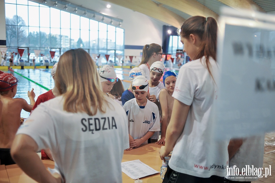 Pierwsza edycja Mikoajkowej Olimpiady Pywackiej o Puchar Otylii Jdrzejczak , fot. 67