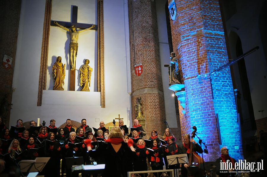 Chr Cantata z koncertem w katedrze, fot. 16