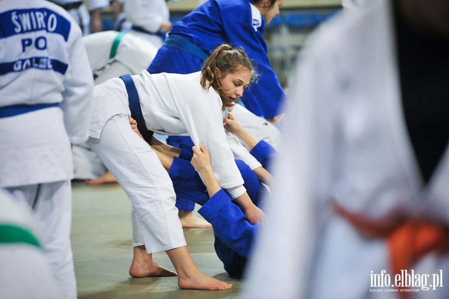 Judo Camp w Elblgu, fot. 41