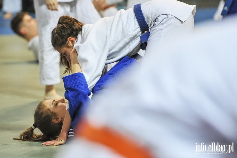 Judo Camp w Elblgu, fot. 42