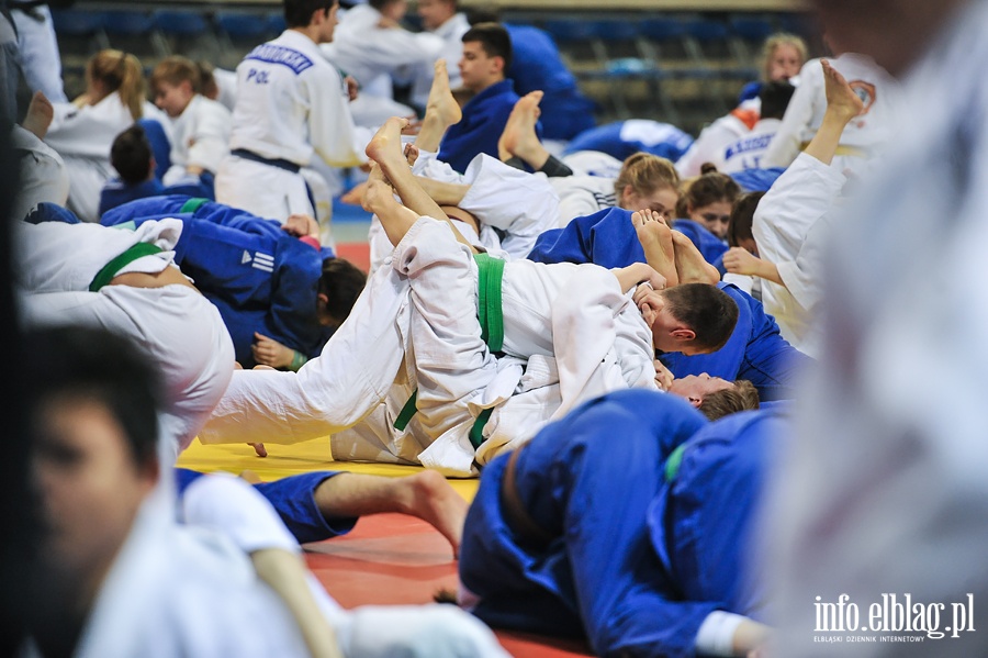 Judo Camp w Elblgu, fot. 53