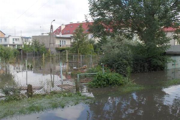 Elblskie ulice podtopione po oberwaniu chmury, fot. 11