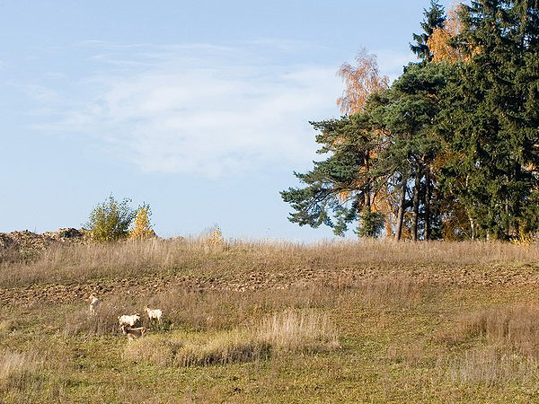 Oddanie do uytku budynku gospodarczego i spacer po bud, fot. 14