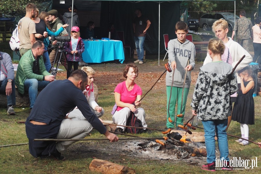 IV Ptasi Piknik w Krynicy Morskiej, fot. 17