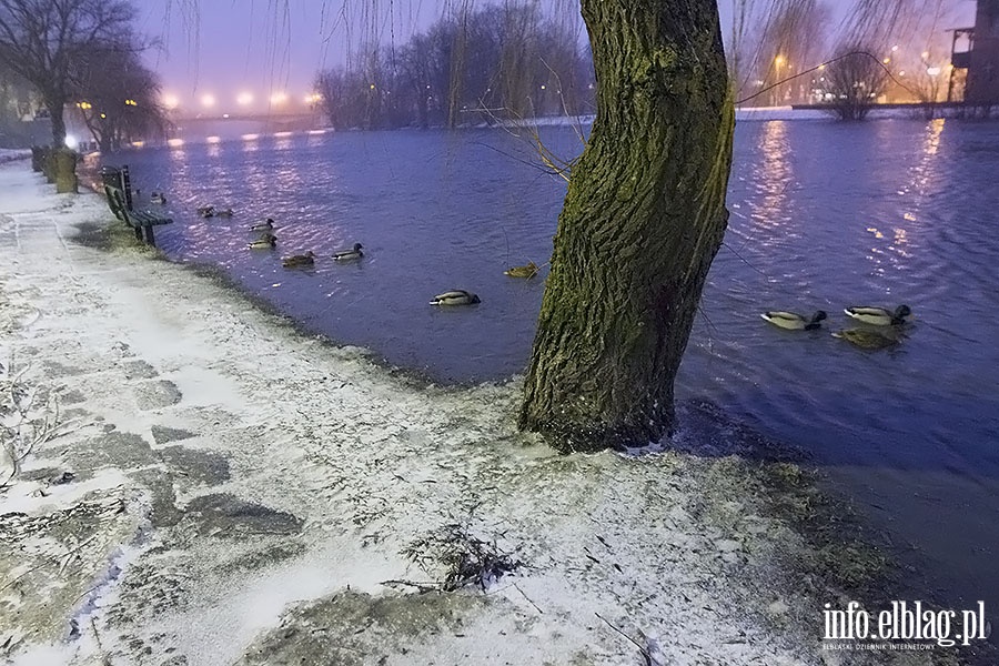 Na bulwarze rzeka Elblg przekroczya stan alarmowy, fot. 17