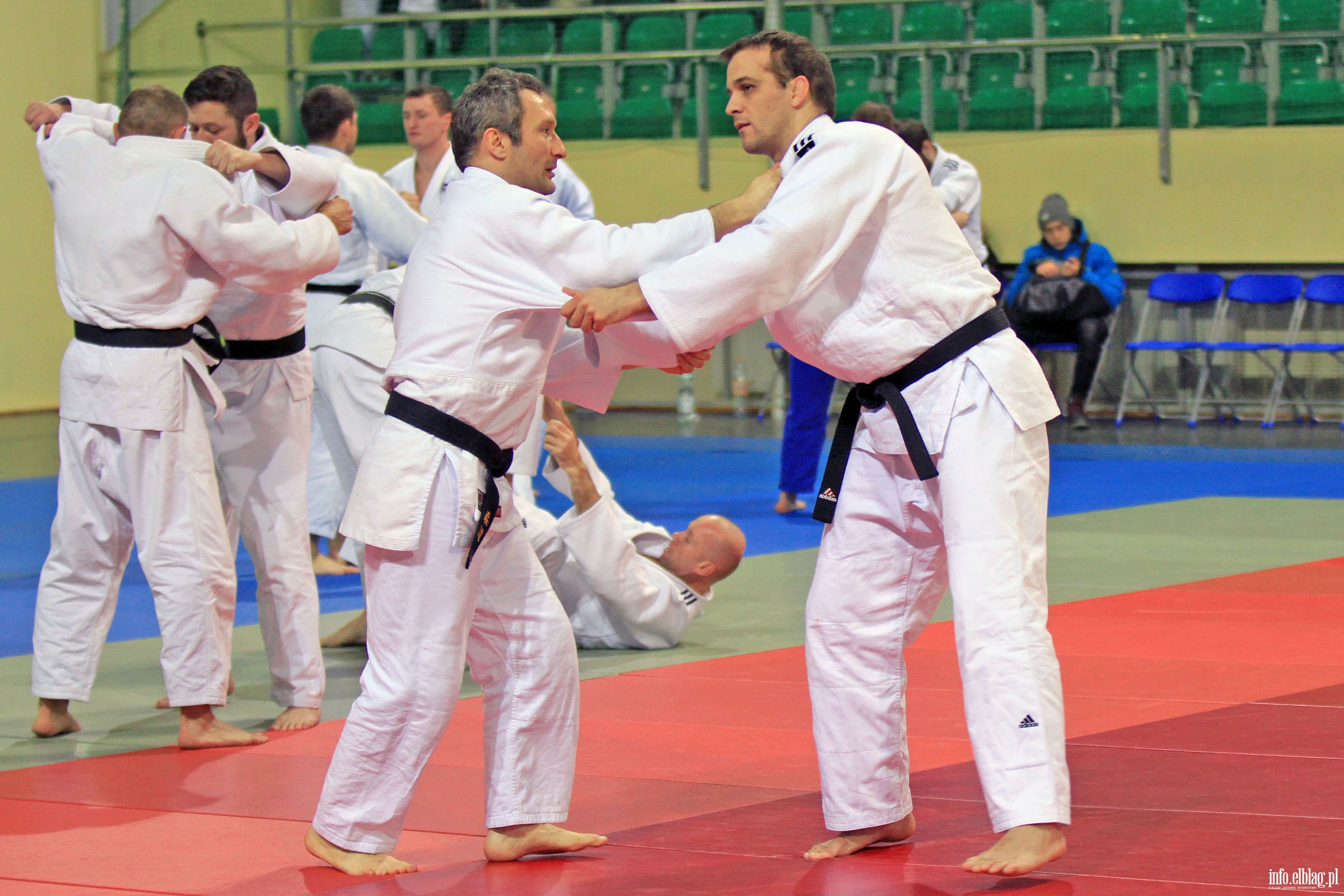 Judo Camp trening trenerw, fot. 43