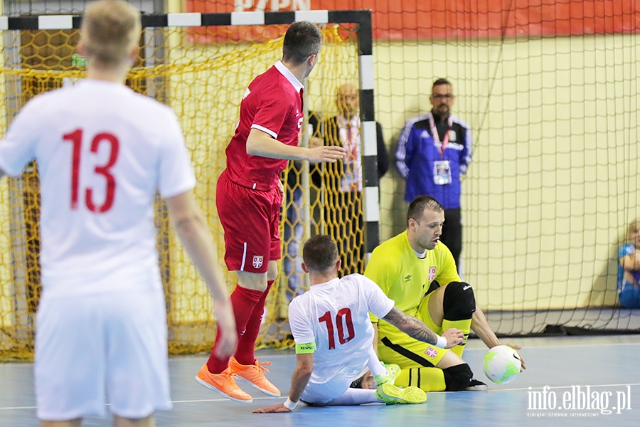 Polska - Serbia futsal, fot. 8