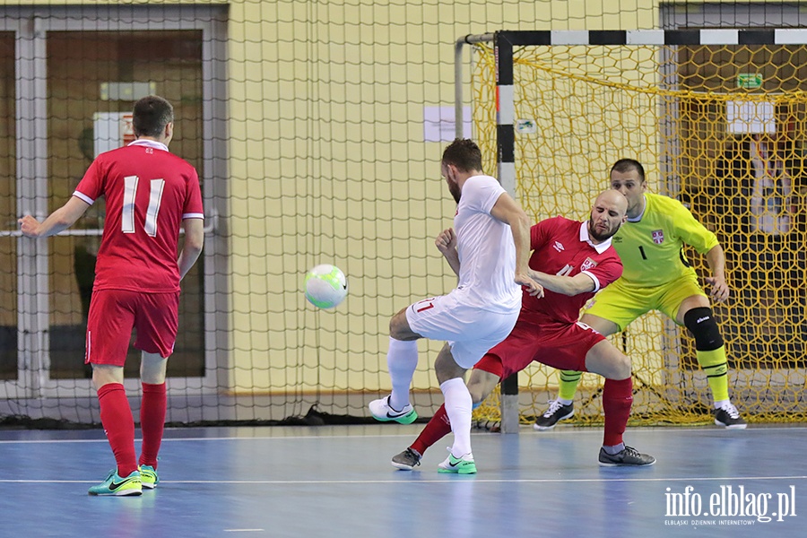 Polska - Serbia futsal, fot. 13