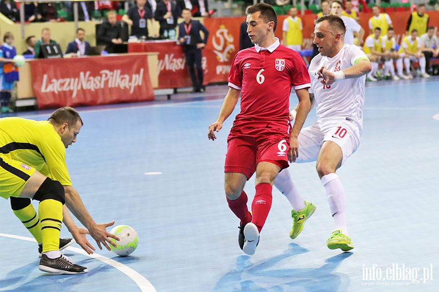 Polska - Serbia futsal, fot. 18