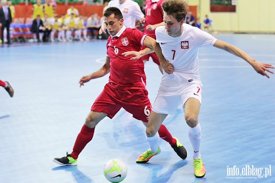 Polska - Serbia futsal, fot. 34