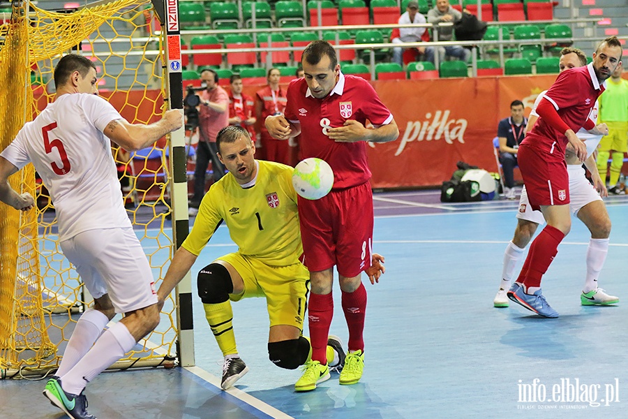 Polska - Serbia futsal, fot. 41