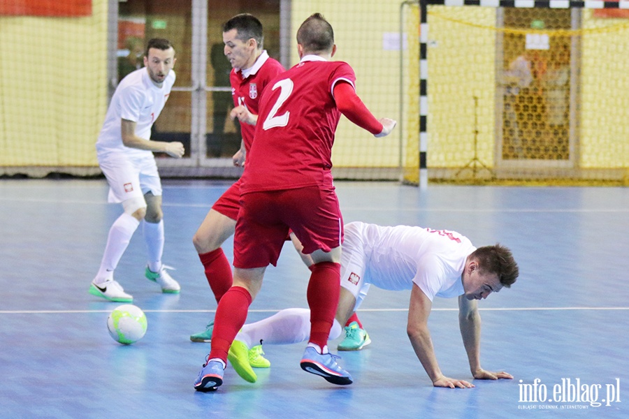 Polska - Serbia futsal, fot. 62