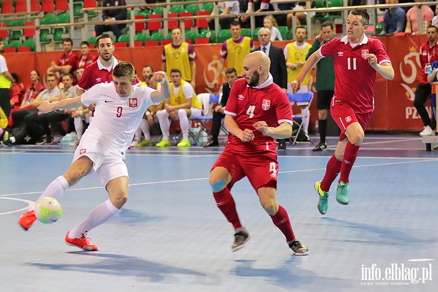 Polska - Serbia futsal, fot. 63