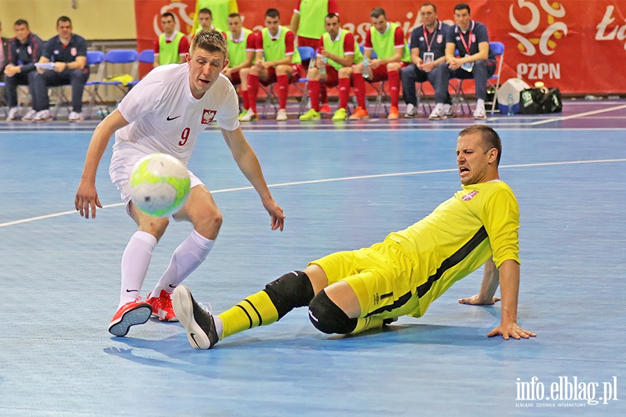 Polska - Serbia futsal, fot. 65