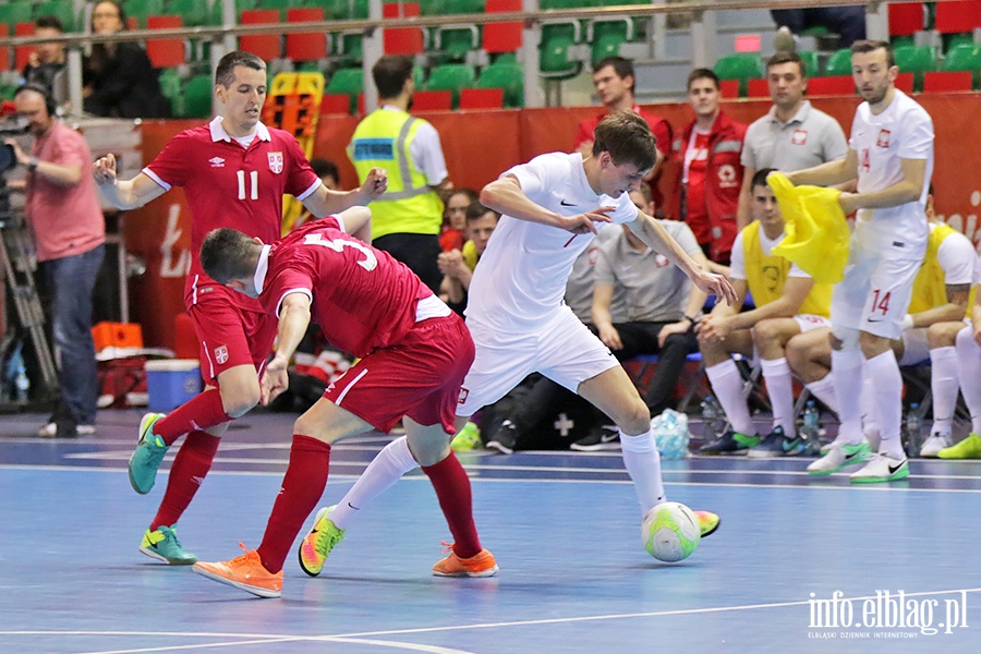 Polska - Serbia futsal, fot. 68