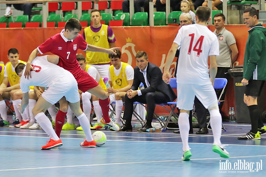 Polska - Serbia futsal, fot. 73