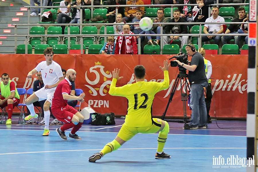 Polska - Serbia futsal, fot. 74