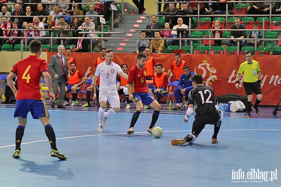 Futsal mecz Polska- Hiszpania i Serbia-Moldawia, fot. 14